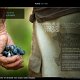 Sito-web-01_bis